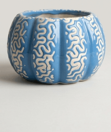 Tulip Ceramic Pot